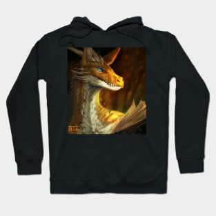 Arcten portrait Hoodie